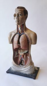 Medical mannequin