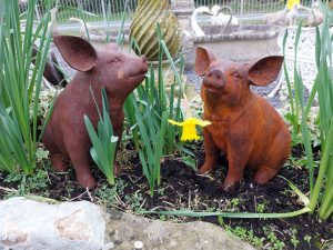 Pair of good quality cast iron pigs